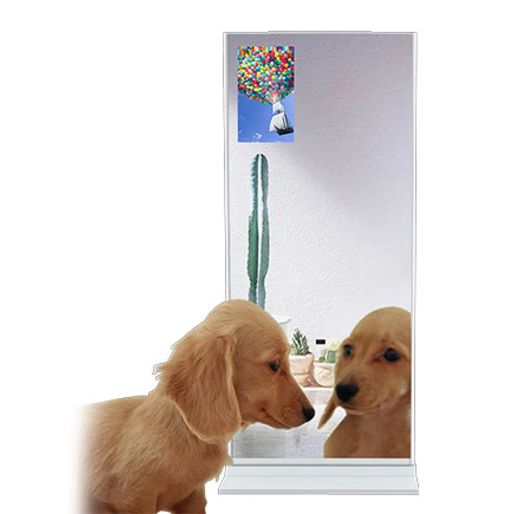 Indoor Mirror Display-MI220 - Image 2